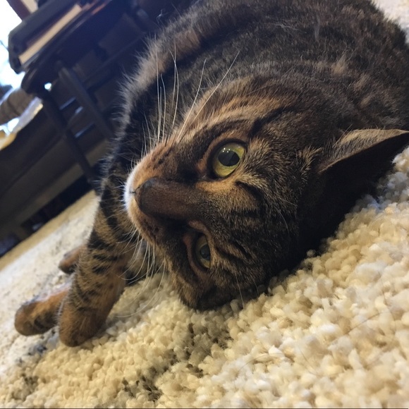 esmeesophie